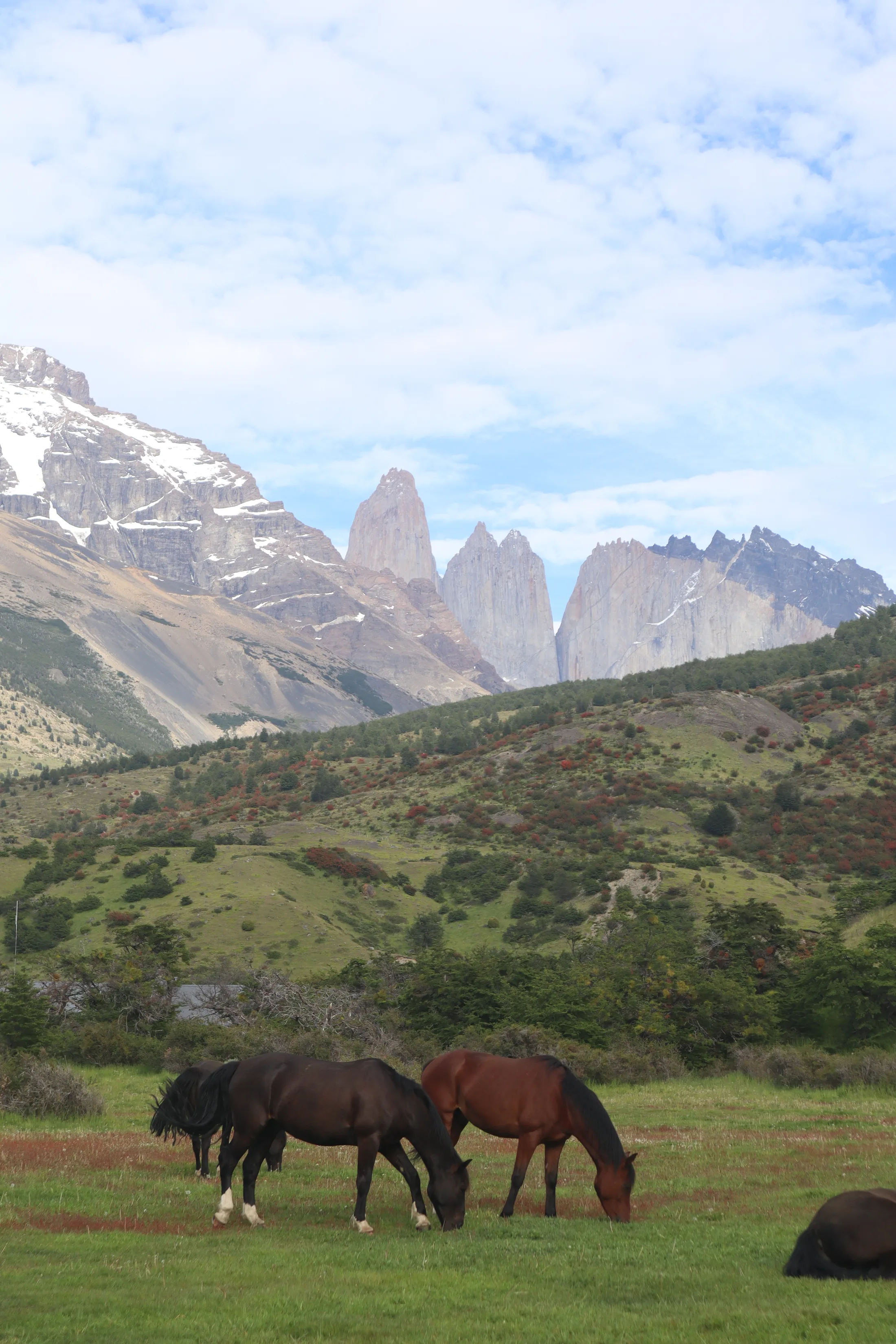 Torres Del Paine National Park