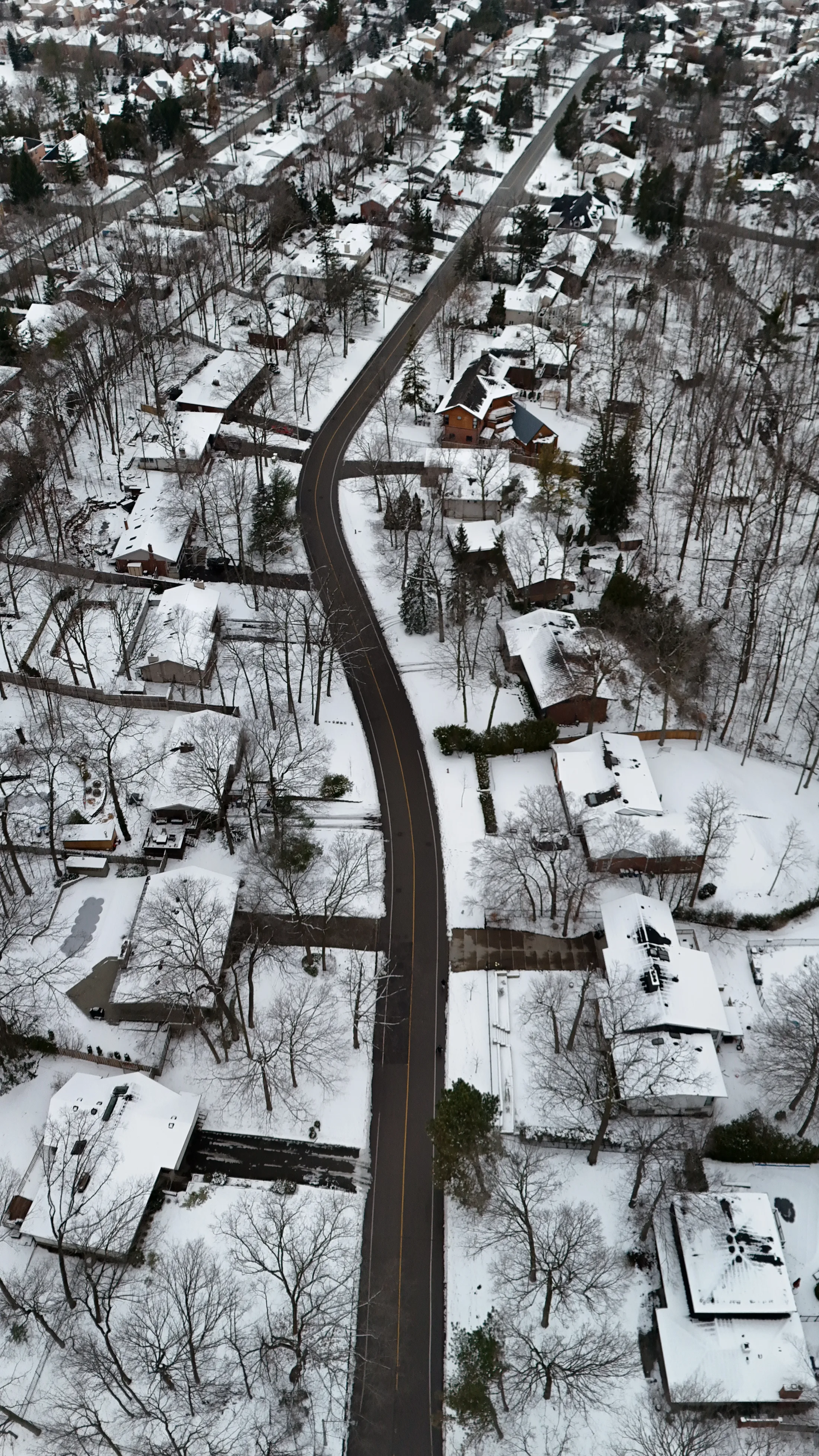 Robin Drive at Christmas, Mississauga, Canada
